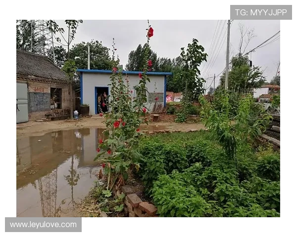 拖延时间的判罚标准与裁判执行要点