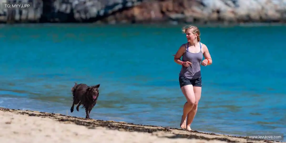 高清直播，随时随地！📱